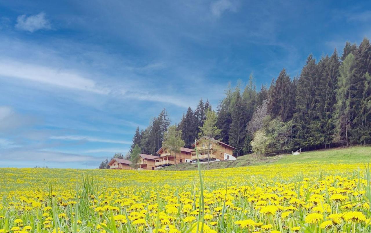 Hochleben-Chalets Am Erlebnisbauernhof Steinerhof Liebenfels Exteriör bild