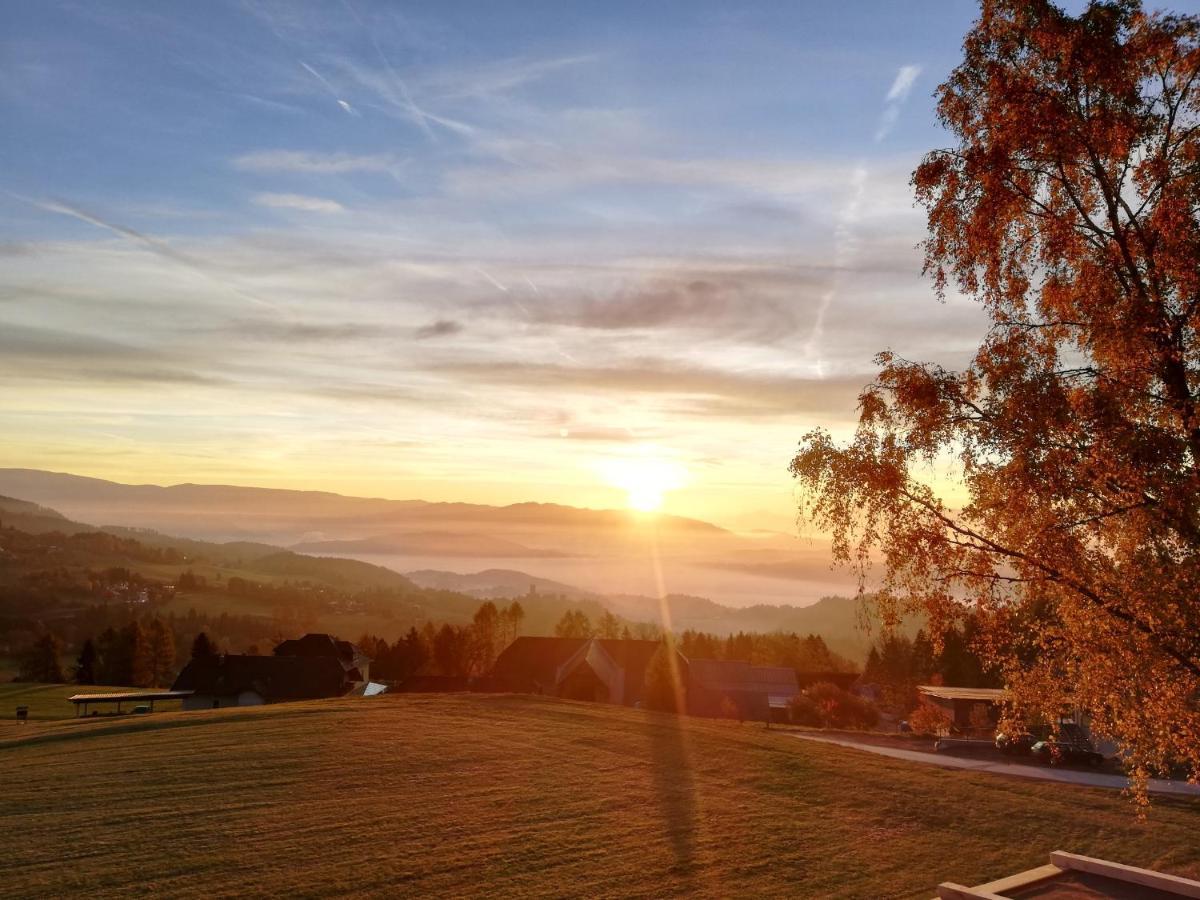 Hochleben-Chalets Am Erlebnisbauernhof Steinerhof Liebenfels Exteriör bild