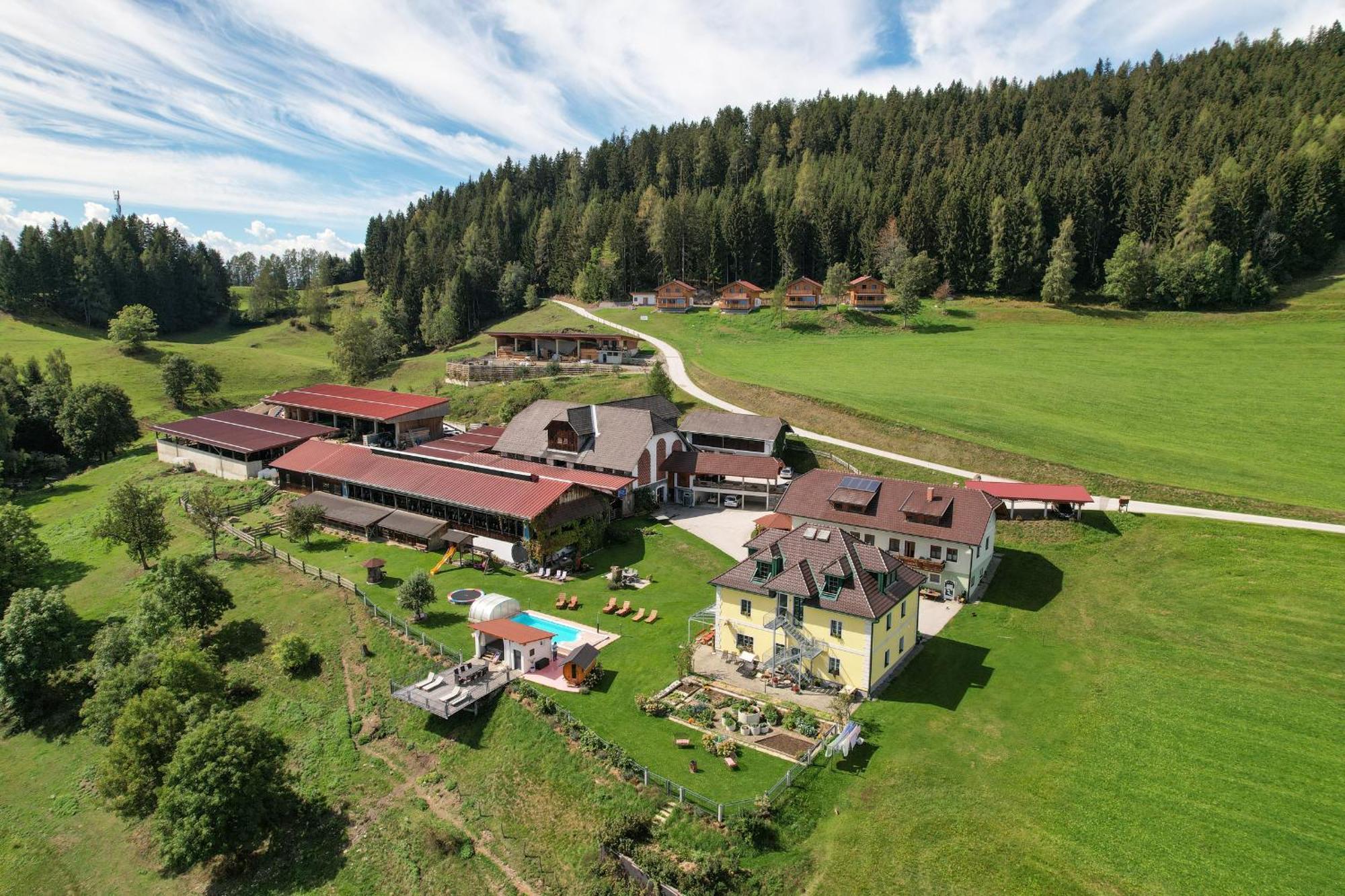 Hochleben-Chalets Am Erlebnisbauernhof Steinerhof Liebenfels Exteriör bild